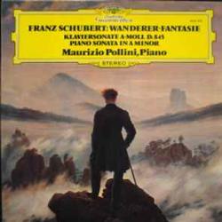 SCHUBERT Wanderer-Fantasie / Klaviersonate A-moll D. 845 - Piano Sonata In A Minor Виниловая пластинка SCHUBERT Wanderer-Fantasie / Klaviersonate A-moll D. 845 - Piano Sonata In A Minor Виниловая пластинка