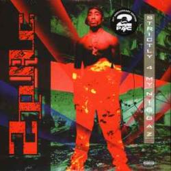 2PAC STRICTLY 4 MY N.I.G.G.A.Z... Виниловая пластинка 2PAC STRICTLY 4 MY N.I.G.G.A.Z... Виниловая пластинка
