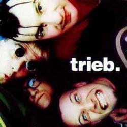 TRIEB. GROOVE NATION Фирменный CD TRIEB. GROOVE NATION Фирменный CD