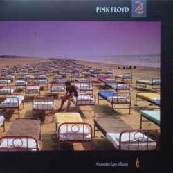 PINK FLOYD A MOMENTARY LAPSE OF A REASON Виниловая пластинка PINK FLOYD A MOMENTARY LAPSE OF A REASON Виниловая пластинка