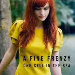 A FINE FRENZY ONE CELL IN THE SEA Фирменный CD A FINE FRENZY ONE CELL IN THE SEA Фирменный CD