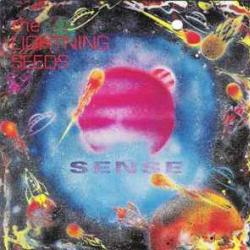 LIGHTNING SEEDS SENSE Фирменный CD LIGHTNING SEEDS SENSE Фирменный CD