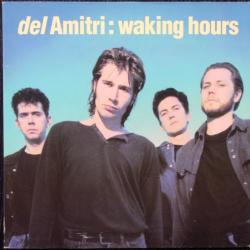 DEL AMITRI WALKING HOURS Виниловая пластинка DEL AMITRI WALKING HOURS Виниловая пластинка