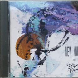 VARIOUS New Music From Blue Flame Records Фирменный CD VARIOUS New Music From Blue Flame Records Фирменный CD