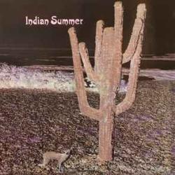 INDIAN SUMMER INDIAN SUMMER Виниловая пластинка INDIAN SUMMER INDIAN SUMMER Виниловая пластинка
