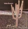 INDIAN SUMMER