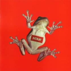 Adrian Sherwood Never Trust A Hippy Фирменный CD Adrian Sherwood Never Trust A Hippy Фирменный CD