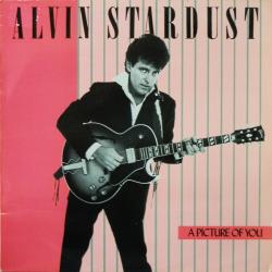ALVIN STARDUST A PICTURE OF YOU Виниловая пластинка ALVIN STARDUST A PICTURE OF YOU Виниловая пластинка