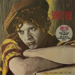SIMPLY RED PICTURE BOOK Виниловая пластинка SIMPLY RED PICTURE BOOK Виниловая пластинка