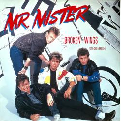 MR. MISTER BROKEN WINGS (EXTENDED VERSION) Виниловая пластинка MR. MISTER BROKEN WINGS (EXTENDED VERSION) Виниловая пластинка