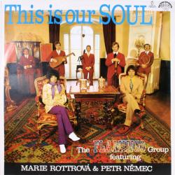 FLAMINGO GROUP feat. MARIE ROTTROVA & PETR NEMEC THIS IS OUR SOUL Виниловая пластинка 