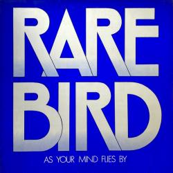 RARE BIRD As Your Mind Flies By Виниловая пластинка RARE BIRD As Your Mind Flies By Виниловая пластинка