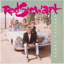 ROD STEWART FOREVER YOUNG Виниловая пластинка ROD STEWART FOREVER YOUNG Виниловая пластинка