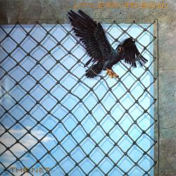 LITTLE RIVER BAND THE NET Виниловая пластинка LITTLE RIVER BAND THE NET Виниловая пластинка