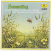 Hummelflug - Virtuose Violinen Hummelflug - Virtuose Violinen