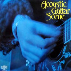 VARIOUS ACOUSTIC GUITAR SCENE Виниловая пластинка 