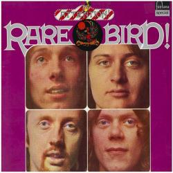 RARE BIRD Attention! Rare Bird! Виниловая пластинка 