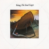 THE SOUL CAGES