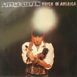 Little Steven VOICE OF AMERICA Виниловая пластинка 