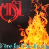 FIRE IN THE RAIN
