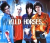Wild Horses