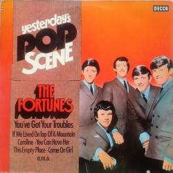 The Fortunes You've Got Your Troubles Виниловая пластинка 