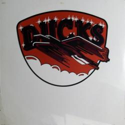 DUCKS DUCKS Виниловая пластинка 