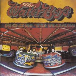 The Waterboys Room To Roam Фирменный CD 