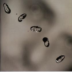 PETER GABRIEL UP Фирменный CD PETER GABRIEL UP Фирменный CD