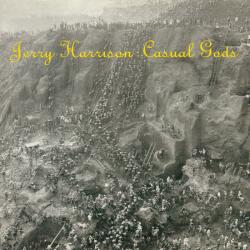 JERRY HARRISON CASUAL GODS Виниловая пластинка 